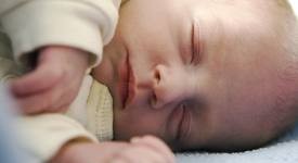 Baby3