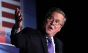 Jeb Bush Declared Sane