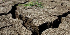 Tales From The Drought Water For Quarters
